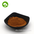 Natural de alta calidad 10: 1 Polvo de extracto de hongos Chaga